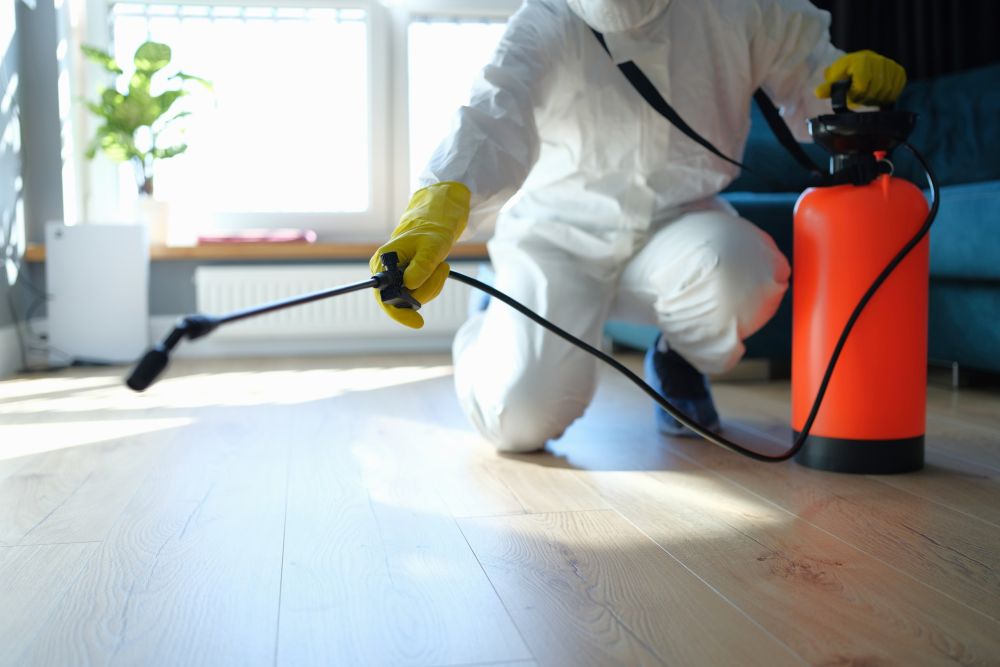 Hangyairtás Felcsút